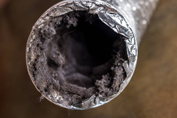 Best Affordable Air Duct Cleaning  in East Bernard, TX